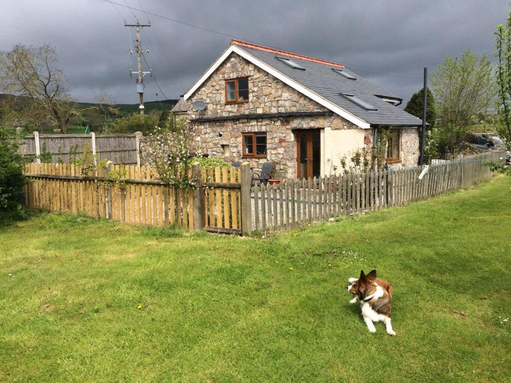 Ty Gylfinir Villa Llandegla Buitenkant foto